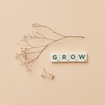 Minimalist design with typography and dry twig on beige background.